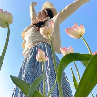 风平浪静