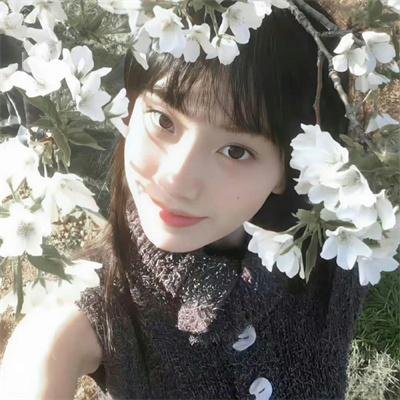 恋上女镖师